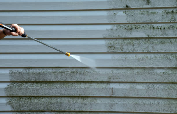 Best Sidewalk Pressure Washing  in Bonnie Brae, IL
