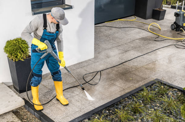 Roof Power Washing Services in Bonnie Brae, IL