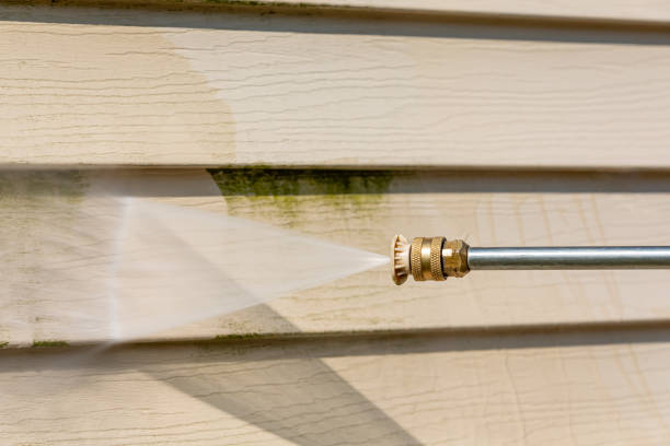 Best Pressure Washing Near Me  in Bonnie Brae, IL