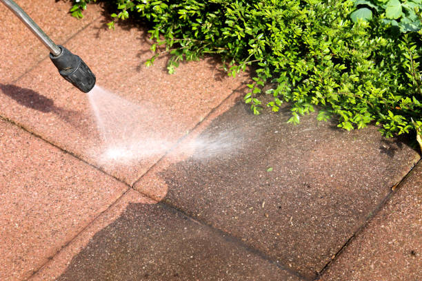 Best Pressure Washing Patio  in Bonnie Brae, IL