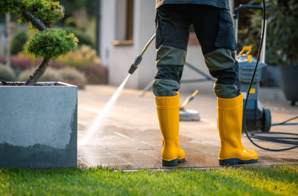 Best Power Washing Near Me  in Bonnie Brae, IL